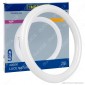 Immagine 1 - Imperia Circolina LED G10q 18W Lampadina Diametro 30cm - mod.