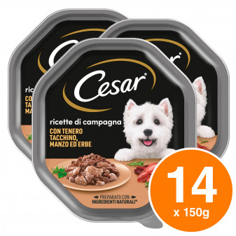 Cesar Ricette di Campagna Cibo per Cani con Tacchino Manzo ed Erbe - 14...