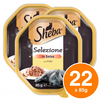 Sheba Selezione in Salsa Cibo per Gatti al Gusto Pollo - 22 Vaschette da 85g