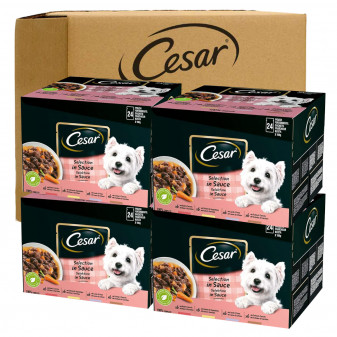 Cesar Selezione in Salsa Cibo per Cani con Gusti Assortiti - 96 Bustine da 100g