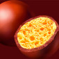 Immagine 3 - Maltesers Praline al Malto Croccanti Ricoperte di Cioccolato al Latte - Box da 25 Bustine