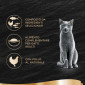Immagine 2 - Sheba Filets Pollo Sminuzzato al Naturale Cibo per Gatti - Vaschetta da 60g