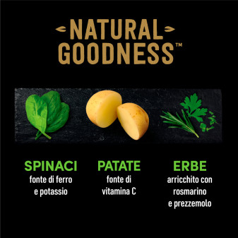 Cibo per Cani Agnello Carote Patate e Spinaci Cesar Natural Goodness
