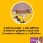 Immagine 7 - Pedigree Dentastix Daily Fresh Oral Care Small per l'Igiene Orale del Cane - Confezione da 35 Stick
