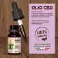 Immagine 3 - Primitiva Olio CBD 20% Estratto di Canapa Naturale ad Ampio Spettro Antinfiammatorio e Analgesico Multiuso - Flacone da 10ml