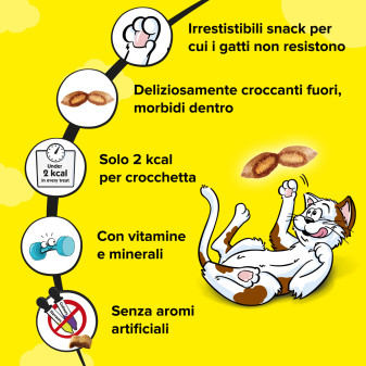Acquista Catisfactions Snack al Salmone per Gatti