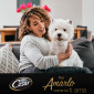 Immagine 2 - Cesar Selezione in Gelatina Cibo per Cani con Pollo Carote Manzo Verdure - 4 Buste da 100g