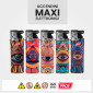 Immagine 2 - Prof Maxi Accendino Elettronico Turbo Antivento Grande Fantasia Illuminati - Box da 50 Accendini