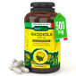 Immagine 1 - RadiciVitalia Rhodiola Rosea Forte 500mg Integratore Buon Umore e Benessere Emotivo Made in Italy - Barattolo da 120 Capsule