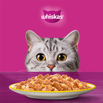 Whiskas Duo Mix Gustoso di Carne in Gelatina Cibo per Gatti 4x