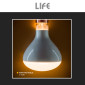 Immagine 4 - Life Lampadina LED E27 11W Reflector R125 Filament Dimmerabile in Vetro Frost - mod. 39.922371CDS27
