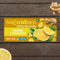 Immagine 2 - Sognid'oro Infuso Caldo e a Freddo Limone e Zenzero -  Confezione da 20 Filtri