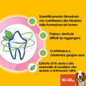 Immagine 3 - Pedigree Dentastix Daily Fresh Oral Care Medium per l'igiene orale del cane - Confezione da 28 Stick