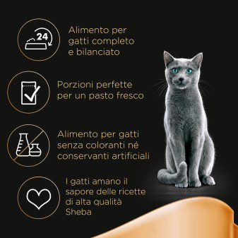 Cibo per gatti con Pollo Tacchino Pollame Anatra Sheba in Gelatina