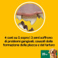 Immagine 4 - Pedigree Dentastix Large Pollo e Manzo per l'Igiene Orale del Cane - Confezione da 42 Stick