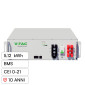 Immagine 1 - V-Tac VT-51201-W Batteria BMS LiFePO4 51,2V 100Ah 5,12kWh Garanzia 10 Anni Inverter Impianto Fotovoltaico CEI 0-21 - SKU 12323