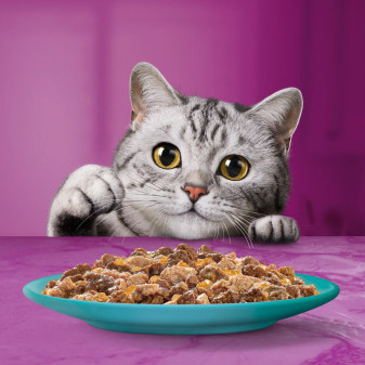 Whiskas Cibo per Gatti Pranzetti in Salsa Carni Bianche