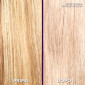 Immagine 3 - L'Oréal Paris Elvive Color Vive Purple Balsamo Anti-Giallo per Capelli Schiariti Biondi Decolorati e Grigi - Flacone da 150ml