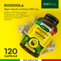 Immagine 2 - RadiciVitalia Rhodiola Rosea Forte 400mg per Capsula Integratore Buon Umore Concentrazione Made in Italy - 120 Capsule da 500mg