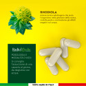 Immagine 4 - RadiciVitalia Rhodiola Rosea Forte 400mg per Capsula Integratore Buon Umore Concentrazione Made in Italy - 120 Capsule da 500mg
