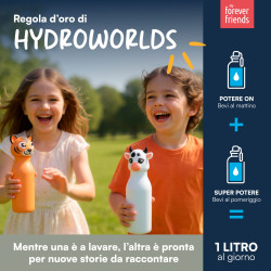 CapsHero Borraccia Termica Bambini 520ml Koala Koa