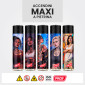 Immagine 2 - Prof Accendino a Pietrina Grande Ricaricabile con Fantasia Street Queens - Serie da 5 Accendini