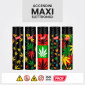 Immagine 2 - Prof Jet Flame Accendino Elettronico Turbo Antivento Grande Ricaricabile Fantasia Rasta Leaves - Box da 25 Accendini