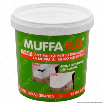 Tecnostuk Muffa K.O. Fondo per Coprire Isolare Sbiancare - 1 Litro