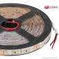 Immagine 1 - LEDCO Striscia LED 2835 Monocolore 120 LED/metro 24V IP65 per