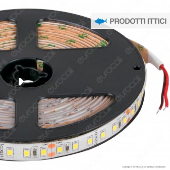 LEDCO Striscia LED 2835 Monocolore 240 LED/metro 24V IP65 per Pescherie - Bobina da 5 metri