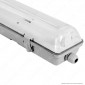 Immagine 1 - Life Plafoniera Singola Impermeabile per Tubi LED T8 da 120cm - mod.