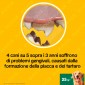Immagine 7 - Pedigree Dentastix Large per l'igiene orale del cane - Confezione da