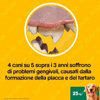 Pedigree Dentastix Large per l'igiene orale del cane - Confezione da