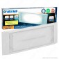 Immagine 1 - Velamp Holly Lampada LED d'Emergenza Anti Black Out IP65 IK08