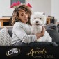 Immagine 4 - Cesar Selezioni dell'Orto Cibo per Cani con Pollo e Carote - 14