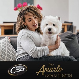 Cesar Selezioni dell'Orto Cibo per Cani con Pollo e Carote - 14