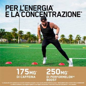 Optimum Nutrition Essential Amino Energy 270g Pre-Workout Energy Shot