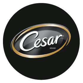 Cesar