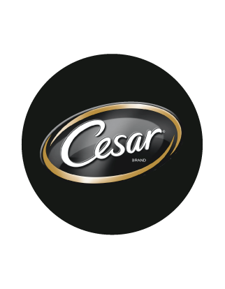 Cesar