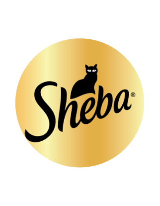 Sheba
