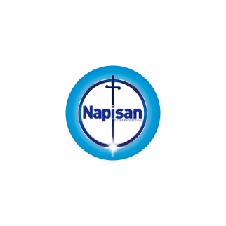 Napisan